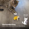 Petstages Catstages Dental Banana Catnip Cat Chew Toy