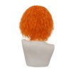 Dai Cloud Orange Curly Wigs for Men Short Kinky Curly Hair Wig with Middle Part Cosplay Anime Costume Synthetic Halloween Wigs
