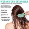 Fiora Naturals Hair Detangling Brush -100% Bio-Friendly Detangler Hair Brush w/Ultra-soft Bristles- Glide Through Tangles with Ease - For Curly, Straight, Women, Men, Kids, Toddlers, Wet and Dry Hair
