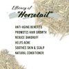 Well's Herb Dried Horsetail | 0.5 oz. | 100% Natural | Perfect for Herbal-Infused Hair Oil | For Hair & Skin Oil DIY | Horsetail Herb
