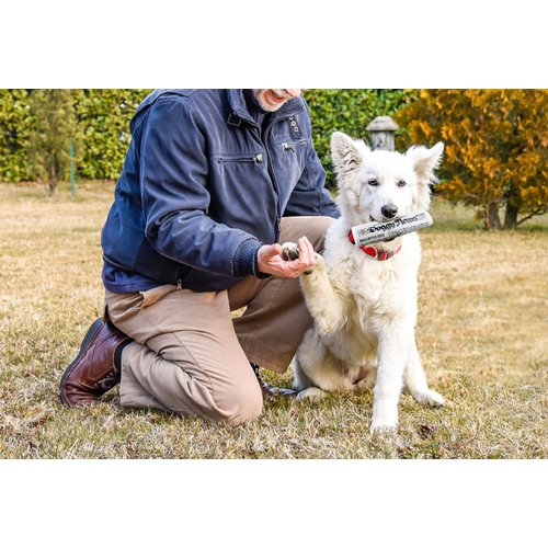 GabeFish 2PCS Funny Dog Chew Toys, Newspaper Dog Toy, 6.2 x 2.1-in (16 x 6.5 cm), Durable Squeak Toy for Dogs