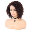 BEAUTY FLAG Afro Curly Lace Front Wigs Brown Synthetic Heat Resistant Fiber Short Curly Wig for Black Women