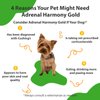 Pet Wellbeing Adrenal Harmony Gold - Vet-Formulated - for Dog Cushing's, Adrenal Health, Cortisol Balance - Natural Herbal Supplement