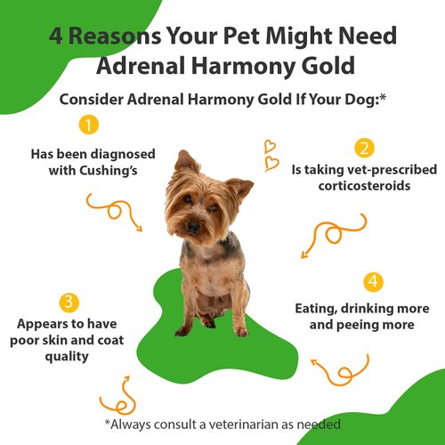 Pet Wellbeing Adrenal Harmony Gold - Vet-Formulated - for Dog Cushing's, Adrenal Health, Cortisol Balance - Natural Herbal Supplement
