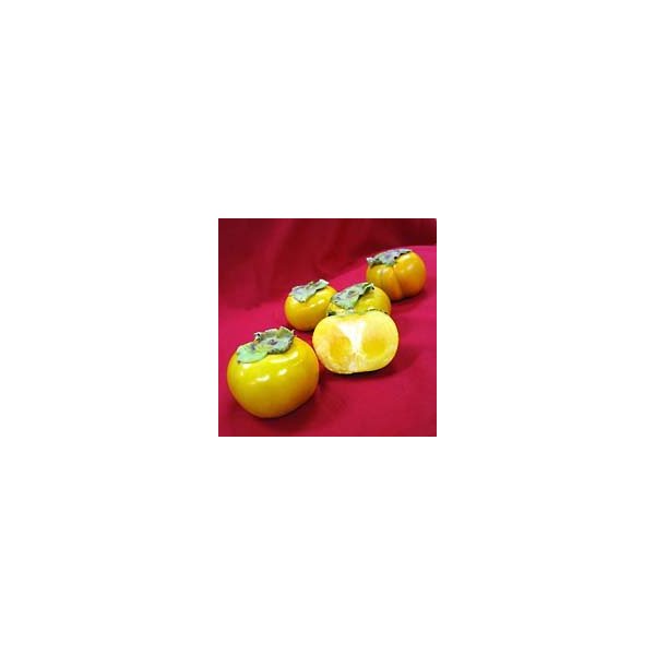 Melissa's Fresh Persimmons, 2 lbs.