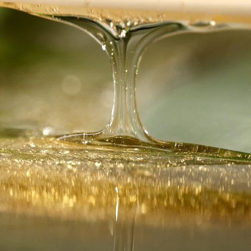 BRITISH M Kombucha Shampoo 750ml(25.36fl.oz) | Vegan Shampoo (25.36 fl.oz (Refill))