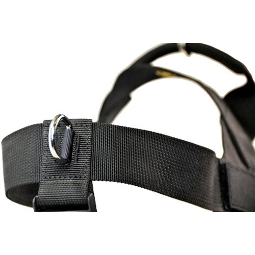 DT Universal No Pull Dog Harness, On Duty, Black, Small, Fits Girth Size: 24-Inch to 27-Inch