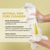 Lanbelle Deep Pore Cleanser Cleansing Gel Type Face Wash with Naturally-derived Ingredients - 7.1 Fl Oz / 210 ml - made with COCONUT Extracts, VEGAN Certified, Dermatological Tested
