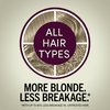 Schwarzkopf Keratin Color Permanent Hair Color, 7.1 Dark Ash Blonde, 1 Application - Salon Inspired Permanent Hair Dye, for up to 80% Less Breakage vs Untreated Hair and up to 100% Gray Coverage