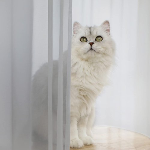 Window Gray Sheer Curtains 63 Inches Long 2 Panels Sheer Curtain Basic Rod Pocket Panel for Bedroom Children Living Room Yard Kitchen