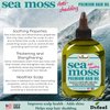 Difeel Sea Moss Anti-Shedding Premium Hair Oil 7.1 oz. - Sea Moss for Hair Growth, Ideal for Damaged, Dry or Frizzy Hair