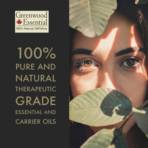 Greenwood Essential Intense Repair Hair Oil - Jatamansi, Rosemary, Thyme, Tea Tree & French Lavender Essential Oils in Almond, Castor & Olive 50ml (1.69 oz)