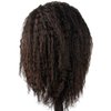 African American Mannequin Head with 100% Human Hair Manikin Head with Stand for Styling Hair Blowing Hair Cutting Braiding (Afro Kinky Straight)