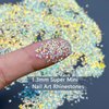 HINABTRU 10000 Pixie Nail Crystals Rhinestones Micro Glass Diamonds Stone-AB Pixie Crystals for Nails Iridescent Shine-Mini 1.3mm Crushed Nail Rhinestones Tiny Sugar Crystal Beads for Nails