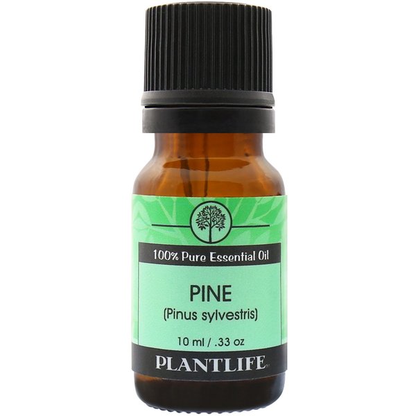 Plantlife Pine Aromatherapy Essential Oil - Straight from The Plant 100% Pure Therapeutic Grade - No Additives or Fillers - 10 ml