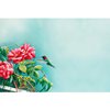 Leanin' Tree, Blank Note Cards - Elegant Stationery with Hummingbird Designs - Perfect for Personalized Messages and Special Occasions (20 Blank Cards, 22 Envelopes)