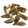 Premium Grade Dried Morel Mushrooms (Morchella Conica) (1oz)
