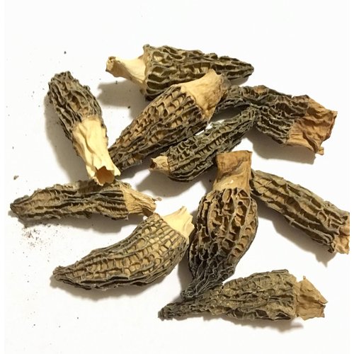 Premium Grade Dried Morel Mushrooms (Morchella Conica) (1oz)