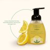 Herb’N Eden Lemon Foaming Hand Soap, Moisturizing for Dry Skin, Gentle Hand Wash, 100% Pure Ingredients, Essential Oils, 8 oz