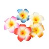 10Pcs Multicolor Hawaii Plumeria Flower Clips Hawaiian Flower Hair Barrettes Beach Party Hair Clips Artificial Tropical Flower Hairpins for Beauty and Personal Care Wedding 7cm，Clips and Barrettes