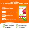 PROBAR - Bolt Organic Energy Chews, Raspberry, Non-GMO, Gluten-Free, USDA Certified Organic, Healthy, Natural Energy, Fast Fuel Gummies with Vitamins B & C (12 Count