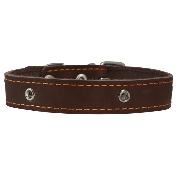 Genuine Leather Studded Dog Collar, Brown, 1" Wide. Fits 13"-17.5" Neck Size