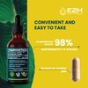 E2H Vegan Liquid Iodine - Thyroid Support and Cognitive Function - Boost Your Metabolism and Energy Levels - Vegan - Non-GMO (2 Bottles)