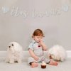 Glitter Silver It's Twins Banner - Baby Shower - Oh Babies First Birthday Banner - Baby Birthday Party Decorations
