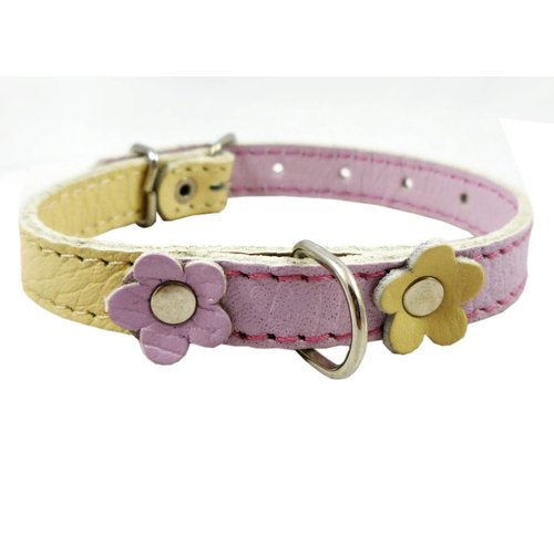 Genuine Leather Designer Dog Collar, Daisy, Studs. 11" x1/2" Wide. Fits 8"-10" Neck, Yorkshire Terrier, Puppies, Maltese
