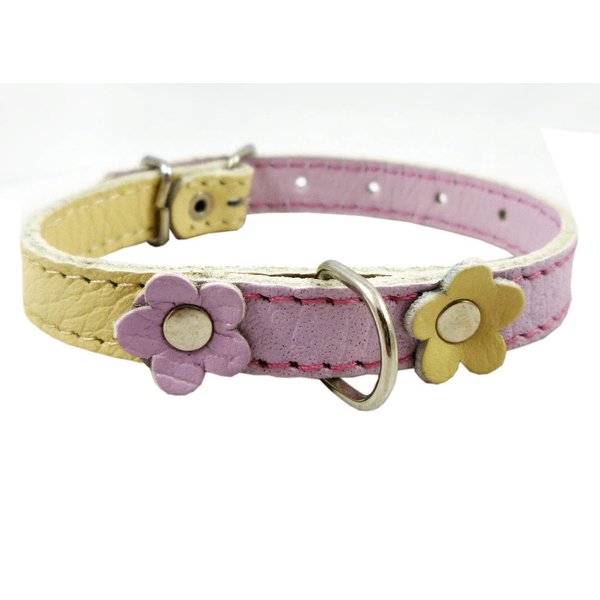 Genuine Leather Designer Dog Collar, Daisy, Studs. 11" x1/2" Wide. Fits 8"-10" Neck, Yorkshire Terrier, Puppies, Maltese