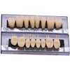 RZJZGZ Dental Synthetic Resin Tooth Denture False Teeth for Halloween Horror Teeth 23 A3(56 Pcs/2Set)