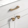 Asidrama 10 Pack Champagne Bronze Kitchen Cabinet Knobs Square Dresser Knobs Brushed Brass Drawer Knobs Gold Cabinet Hardware Zinc Knobs for Dresser Drawers