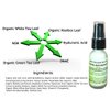 Supercharged Antioxidant Serum Best Anti-Aging Face Serum Soothes Wrinkles & Boosts Collagen Balances Skin Texture - Hyaluronic Acid, Organic Green & White Tea Leaf & Rooibos Leaf 1 OZ