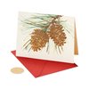 Papyrus Holiday Cards Boxed with Envelopes, Wonderful Year to Come, Pinecones (14-Count)