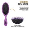 Wet Brush Detangling Hair Brush - Purple - 2 Pack Detangler - Comb for Women, Men & Kids - Wet or Dry – Removes Knots and Tangles, Best for Natural, Straight, Thick & Curly Hair – Pain Free