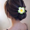 6 Pcs Hawaiian Leaf Leis Headband Wristbands Plumeria Hair Clips Luau Tropical Hair Bands Bracelets Flower Barrettes Women Necklace Hairpins Hairclips Summer Beach Wedding Birthday Party Supplies
