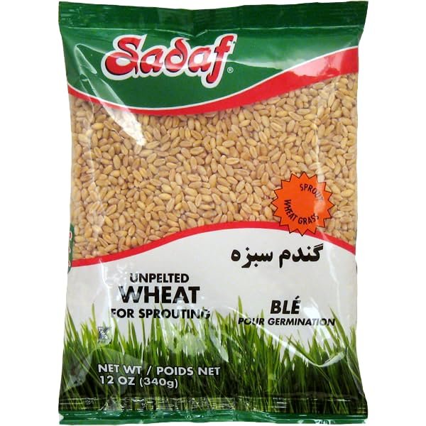 Sadaf Unpelted Wheat - Sabzeh Sprouting Wheat - Germinado de Trigo - Kosher- 12 oz Bags