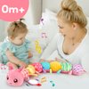 Baby Girls Toys 0-6 Months Tummy Time Musical Stuffed Animal Plush Caterpillar Toys for Infant 0-3 3-6 Months Sensory Toy with Mirror Crinkle Rattle for 6-12 Month Old Newborn Christmas Birthday Gifts