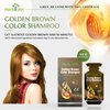 Herbishh Hair Color Shampoo 10 Sachet +1 Argan Hair Mask Pouch | 3 in 1 Hair Dye | PPD Free | Easy to Use | Gray Coverage | Travel Size | Available in 6 Colors | (Golden Brown)