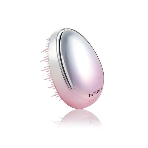 Tayloani Infinigrowth Detangler Mini Hair Brush - Travel Hair Brush for Detangling, Mini Hairbrush for All Hair Types - Portable Travel Brush for Women, Compact & Mini Brush for Purse - Pink & Silver
