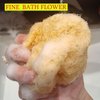 Natural Organic Loofah Sponges Large Exfoliating Shower Bath Loofah Luffa Loofa Body Scrubbers Sponges for SPA Beauty Bath and Radiant Skin Bathing Sponge