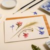 PATIKIL 8"x6" Flower Press Paper, 1 Set/30 Sheet Refill Lining Blotter Paper Absorbent Reusable Blotting Paper for DIY Art Handicraft Scrapbook
