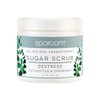 SpaRoom All Natural Aromatherapy Shea Butter and Raw Sugar Hydrating and Exfoliating Body Scrub, 16 oz, Destress- Eucalyptus and Spearmint Essential Oils