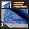 RAINDEWAY Tarps 6x8 Feet - 5.5 Mil, Multipurpose Waterproof Poly Tarp Cover with Metal Grommets and Reinforced Edges, Silver/Blue Tarp