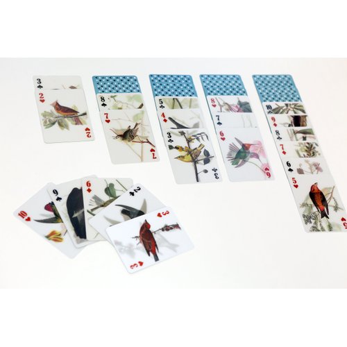 Kikkerland 3D Lenticular Bird Pokersize Deck 54pc Standard Index Waterproof Novelty Playing Cards