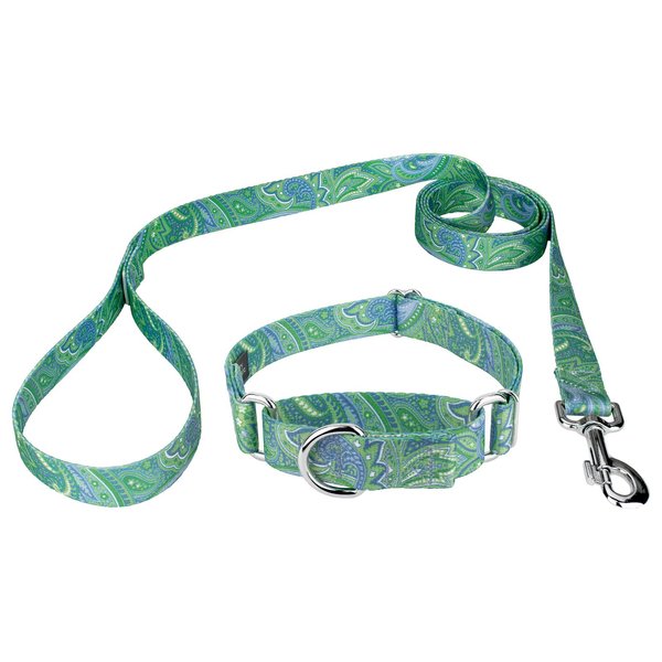 Country Brook Petz - Green Paisley Martingale Collar and Leash - Paisley Collection Featuring Classy Designs (1 Inch, Medium)