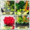 Flower Bouquet Building Sets,549pcs Rose Flower Plants,Forever Decorated flower set with Dust Cover,Building Blocks Sets gifts for Ages 8-12 yrs forOld Girl Christmas,Mother's Day,Valentine's Day