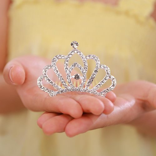 JWICOS Girls Mini Comb Small Rhinestone Comb Mini Crystal Hair Comb Headpiece Flowers Girls Comb Headband for Birthday Party Halloween Christmas (Silver)