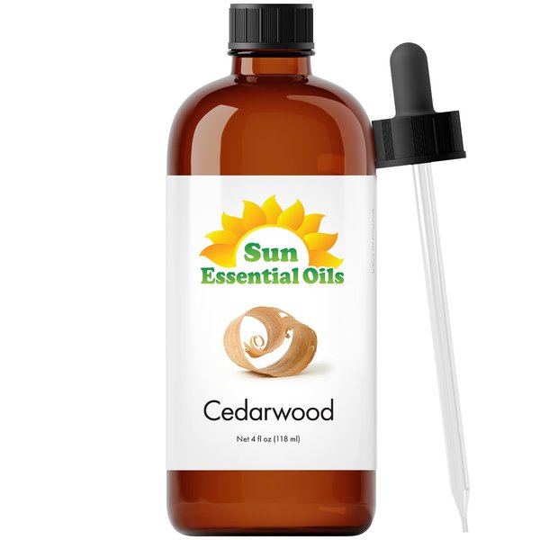 Sun Essential Oils - Cinnamon Bark 4oz Bottle for Humidifier, Diffuser, Soaps, Candles, Hair and Skin Care