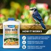 ADIOS! Bird Bath Cleaner for Outdoor Fountains and Bowls, Safely Cleans Metal, Glass and Stone (8oz)
